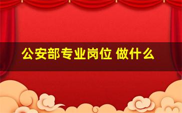 公安部专业岗位 做什么